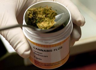 cannabis-terapeutica-italia